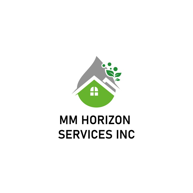 Identité MM Horizon Services, planche 1